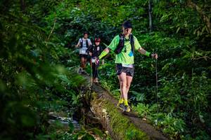 BIB: 
                            <button type="button" onclick="openModal(18923162)" class="btn btn-primary btn-sm float-right btn-popup" data-toggle="modal" data-target=".modal-high-quality">
                        <i class="fas fa-shopping-cart"></i> Add to Cart
                    </button>
                                            <button type="button" onclick="isThisMe(18923162, true)" class="btn btn-success btn-sm float-right btn-popup btn-isme hidden" data-toggle="tooltip" data-placement="bottom" title="นี่คือรูปของคุณใช่ไหม คลิกที่นี่เพื่อเอาเข้าอัลบั้ม">
                        <i class="fas fa-plus"></i> Add to album
                    </button>
                    <button type="button" onclick="isThisMe(18923162, false)" class="btn btn-warning btn-sm float-right btn-popup btn-isnotme hidden">
                        <i class="fas fa-ban"></i> Remove from album
                    </button>